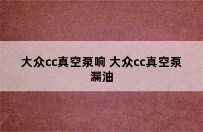 大众cc真空泵响 大众cc真空泵漏油